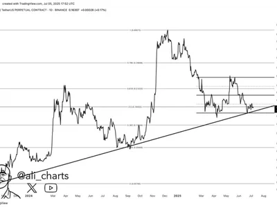 DOGE Bulls Hold The Line At $0.15 — Is The Rally Still Alive? - dogecoin, Crypto, doge, NewsBTC, 2024, bitcoin