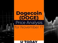 DOGE Price Prediction for November 17 - doge