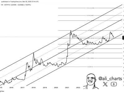 Dogecoin Analyst Predicts Massive Price Explosion—Is $6.24 Far-Fetched? - doge, dogecoin, Crypto, NewsBTC