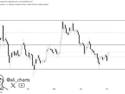 Dogecoin Bounces Back With 8% Gain—Is $0.26 In Sight? - NewsBTC, parallel, may, level, Crypto, dogecoin, three, doge, one