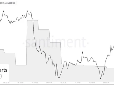 Dogecoin Bulls Eye $3 As Whales Scoop 200 Million DOGE In The Last 2 Days - doge, whales, Crypto, NewsBTC, dogecoin