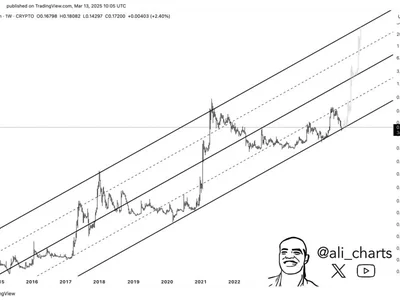 Dogecoin Can Still Go Parabolic If This Support Holds, Analyst Says - doge, dogecoin, Crypto, NewsBTC