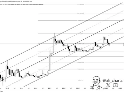 Dogecoin Could Rally To $0.74 ATH If Price Closes Month Above This Level, Analyst Says - dogecoin, doge, three, fibonacci, NewsBTC, one, ath, Crypto, level