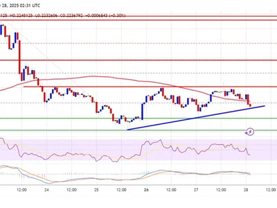 Dogecoin (DOGE) at Risk — Can Support Hold This Time? - NewsBTC, level, Crypto, doge, dogecoin