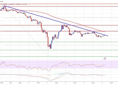 Dogecoin (DOGE) Attempts a Comeback: Can It Clear Resistance? - near, dogecoin, doge, level, NewsBTC, Crypto