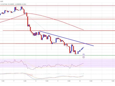 Dogecoin (DOGE) Dips: A Warning Sign or A Hidden Opportunity? - NewsBTC, doge, dogecoin, Crypto, level