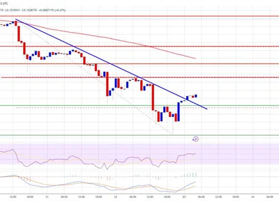 Dogecoin (DOGE) Eyes Upside After Crash, Yet Resistance Levels Cap Momentum - level, dogecoin, NewsBTC, Crypto, doge