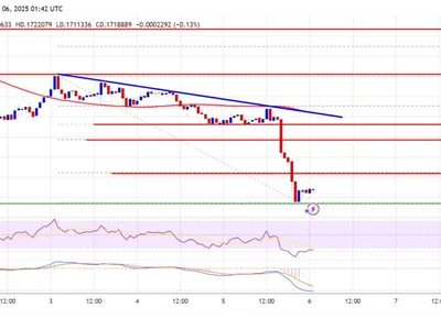 Dogecoin (DOGE) Gains Bearish Momentum: A Buying Opportunity or Warning Sign? - doge, level, Crypto, dogecoin, NewsBTC