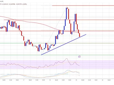 Dogecoin (DOGE) Struggles to Sustain Gain as Meme Coin Mania Cools Off - NewsBTC, doge, level, Crypto, dogecoin