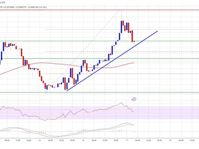 Dogecoin (DOGE) Struggles to Wake Up While Floki Rockets Higher - dogecoin, level, doge, Crypto, NewsBTC
