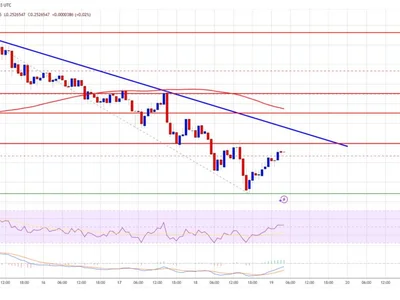 Dogecoin (DOGE) Stuck In Limbo—What’s Holding Back The Recovery? - level, NewsBTC, Crypto, doge, dogecoin