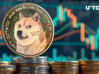 Dogecoin (DOGE) Whales Pull $30 Million From Exchanges: Bull Run Incoming? - whales, dogecoin, sign, doge