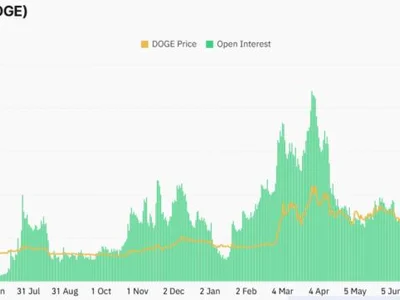 Dogecoin Futures Set New Record as Analysts Target $1 DOGE in 2025 - second, doge, trump, dogecoin, open, Crypto, CoinDesk, musk