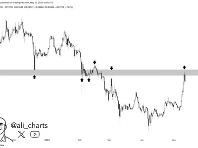 Dogecoin Hits Critical Zone—Here’s What 3 Leading Analysts Are Watching - three, dogecoin, Crypto, NewsBTC, doge
