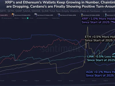 Dogecoin Hodlers Surge In 2025: Will Price Skyrocket Next? - doge, xrp, eth, Crypto, ada, fibonacci, meme, trump, cardano, ethereum, NewsBTC, bitcoin, chainlink, dogecoin, zero