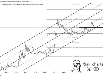 Dogecoin Holds Critical Support Level – Can Bulls Reclaim $0.25? - meme, Crypto, level, doge, NewsBTC, dogecoin