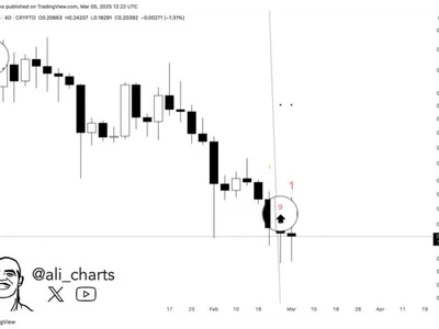 Dogecoin Indicator Flashes A Buy Signal On The 4-Day Chart – Is DOGE Gearing Up For A Rebound? - NewsBTC, doge, Crypto, meme, dogecoin