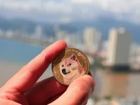 Dogecoin leads meme coin recovery following positive investor sentiment - sector, meme, sentiment, coin, doge, dogecoin