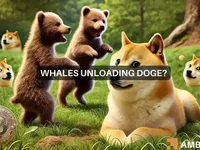 Dogecoin market watch: Is a rally possible amidst whale selling? - dogecoin, rally