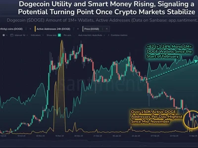  Dogecoin millionaires are buying dips as DOGE price eyes 30% rally  - Cointelegraph, onchain, rally, Crypto, dogecoin, doge, 2024