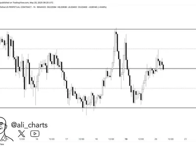 Dogecoin Momentum Fades – Analyst Expects $0.213 Retest - doge, Crypto, bitcoin, NewsBTC, april, level, dogecoin
