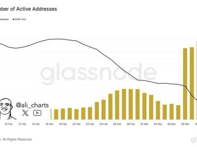 Dogecoin Network Activity Surges 47% In A Month – What’s Next for DOGE? - bitcoin, NewsBTC, btc, dogecoin, doge, Crypto, meme