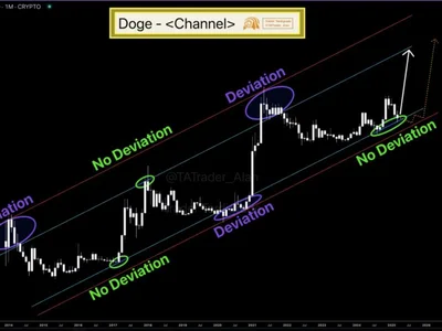 Dogecoin Recovery In Sight? Key Metrics Predict A Strong Bounce - doge, NewsBTC, Crypto, dogecoin