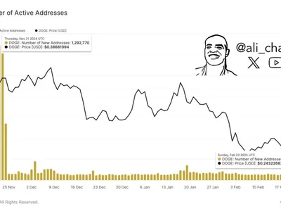 Dogecoin Sees 95% Drop In Network Activity—Trouble Ahead? - one, Crypto, doge, three, NewsBTC, dogecoin