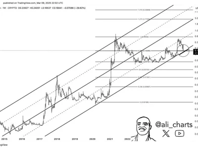 Dogecoin To $2 Could Be Next If DOGE Holds This Level: Analyst - Crypto, NewsBTC, parallel, doge, level, three, dogecoin