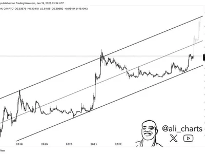 Dogecoin Trades Within Multi-Year Ascending Channel – Expert Sets $15 Price Target - donald trump, doge, meme, Crypto, dogecoin, NewsBTC