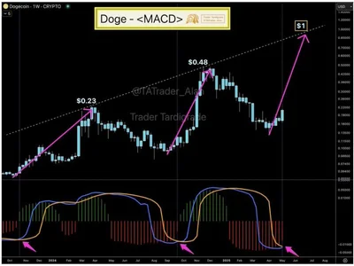 Dogecoin Undergoes MACD Crossover: Is The $1 Milestone Within Reach? - chart, april, second, bitcoin, dogecoin, 2024, may, NewsBTC, Crypto