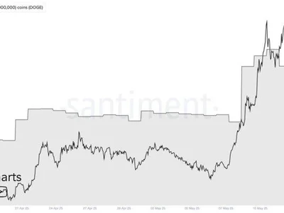 Dogecoin Whales Accumulate 1 Billion DOGE In A Month: Fueling Price Surge Speculation - NewsBTC, dogecoin, doge, one, Crypto