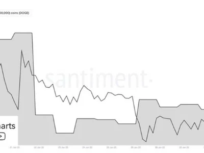 Dogecoin Whales Go Ham As They Buy 560 Million DOGE In One Week - donald trump, crypto, whale, dogecoin, whales, NewsBTC, ath, Crypto, doge