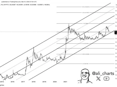 Dogecoin Will Start A Move To $4 If Current Demand Holds – Can Bulls Step In? - Crypto, doge, NewsBTC, dogecoin