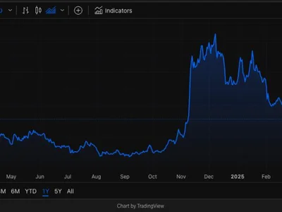 Dogecoin’s price falls back to pre-DOGE levels as Musk-Trump alliance grows - The Block, doge, dogecoin, block, one, sec, 2024, Crypto, musk, trump, donald trump