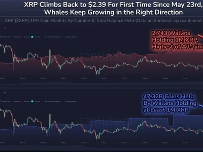 Don’t Hold Back—Expert Recommends Full Stake In XRP - three, etf, one, Crypto, time, may, sec, NewsBTC, xrp