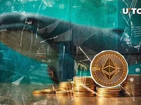 Dormant Billion-Dollar Ethereum Whale Takes Profit After 8 Years - ethereum, whale