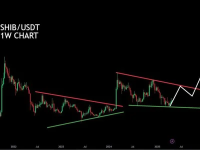 Double Trouble Or Double Gains? Shiba Inu Shows Signs Of Reversal Amid Massive Burn - shiba inu, NewsBTC, token, Crypto, burn, shib