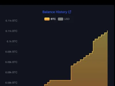 El Salvador acquired over 13 BTC since March 1, despite IMF deal - tether, btc, stablecoin, Cointelegraph, bitcoin, Crypto, el