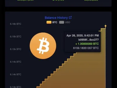 El Salvador Increases Bitcoin Holdings Despite IMF Focus on Fiscal Reforms - bitcoin, ai, stablecoin, el, Beincrypto, Crypto, btc, tether