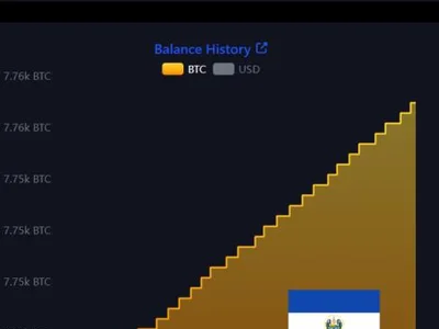 El Salvador Sticks With 'One Bitcoin a Day' Purchase: Has Nayib Bukele-Led Nation's Crypto Bet Paid Off?