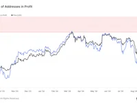Ethereum address profitability declines as bearish trend continues - ethereum, 2024