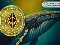 Ethereum ICO Whale Sends 5,000 ETH to Kraken Amid Active Sales - ethereum, one, eth, whale