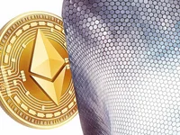 Ethereum Sees Significant Supply Increase in One Week - ethereum