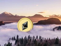 Ethereum Whales Accumulate Significant Holdings in the Market - ethereum, whales, eth, bitcoin