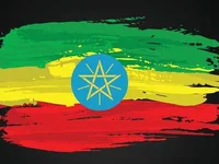 Ethiopia Announces Launch of Forex Auction Sale Days After Birr Float - auction, bank