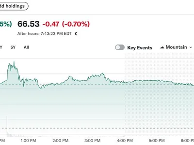 eToro jumps 30% on Nasdaq debut after upsized IPO - sec, 2024, Crypto, hype, crypto, Cointelegraph, shares, trump, donald trump, circle