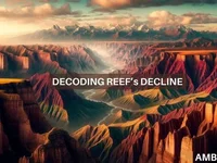 Examining REEF crypto’s 80% decline in 24 hours – How, why, and what next? - reef, crypto