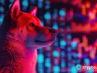 Expert draws bullish parallels between Shiba Inu and RCO Finance - inu, shiba