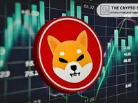 Expert says Do Not Be Fooled, Every Dip is Preparing You for the Next Big Rise - rise, big, shiba, dip, shib